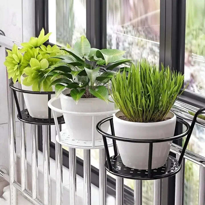 1+1 Free |  Space-Saving Botanical Haven